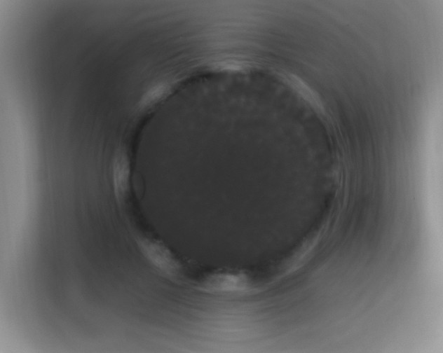 X0000113850552200909241250