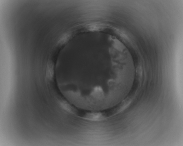 X0000113850554200909241250