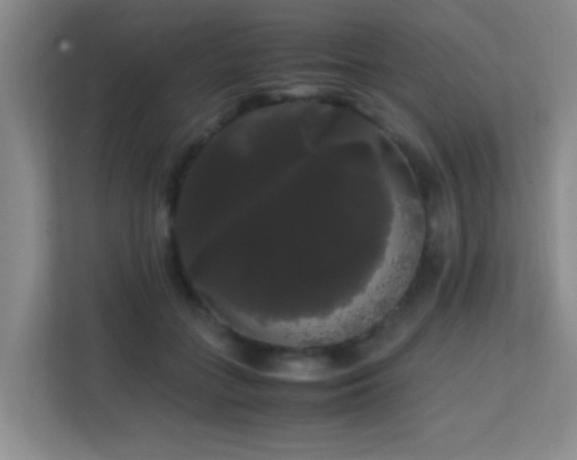 X0000113850555200909241250