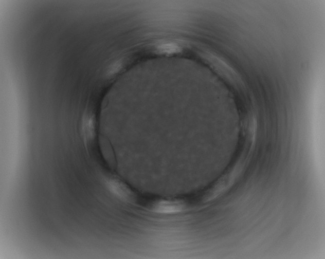 X0000113850556200909241250