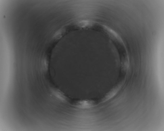 X0000113850558200909241250