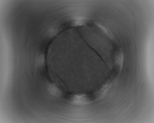 X0000113850560200909241250