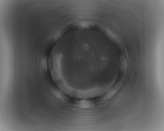 X0000113850562200909241250