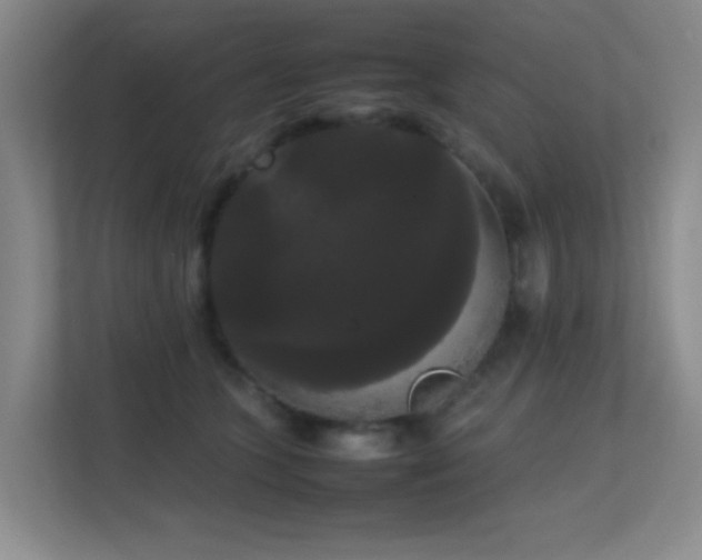 X0000113850563200909241250