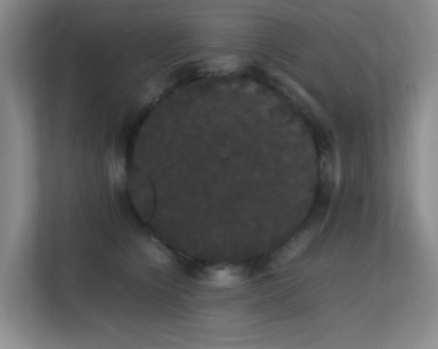 X0000113850564200909241250