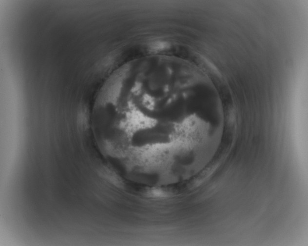 X0000113850565200909241250