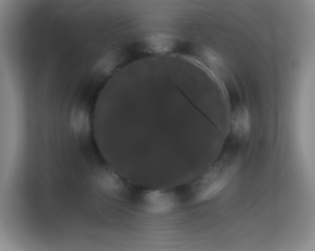 X0000113850568200909241250