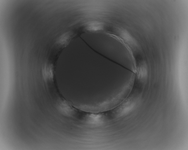 X0000113850570200909241250