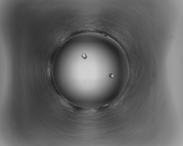 X0000113850576200909241250