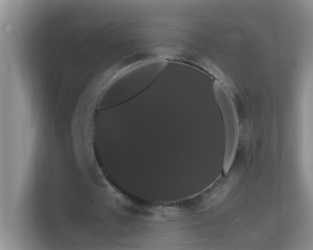 X0000113850577200909241249