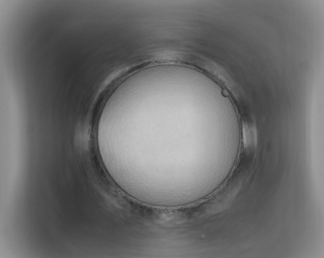 X0000113850579200909241249