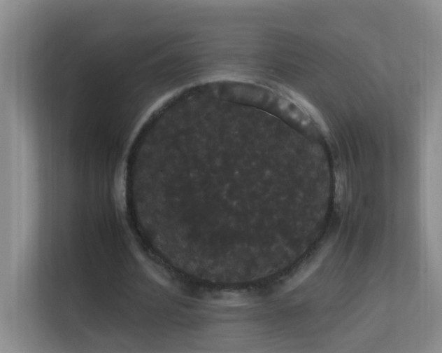 X0000113850580200909241249