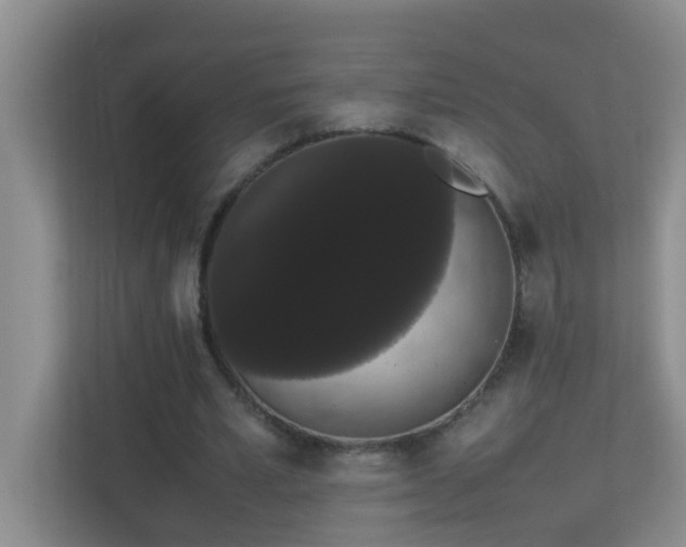 X0000113850581200909241249