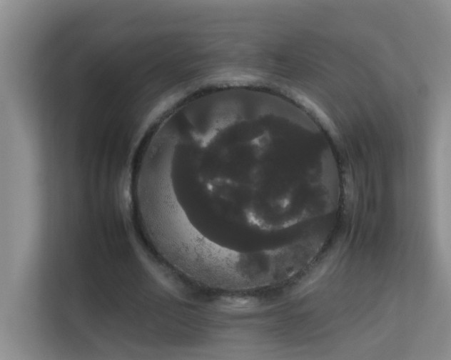 X0000113850582200909241249