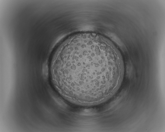 X0000113850584200909241249