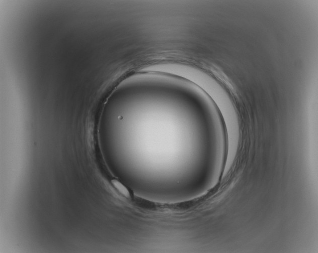 X0000113850585200909241249