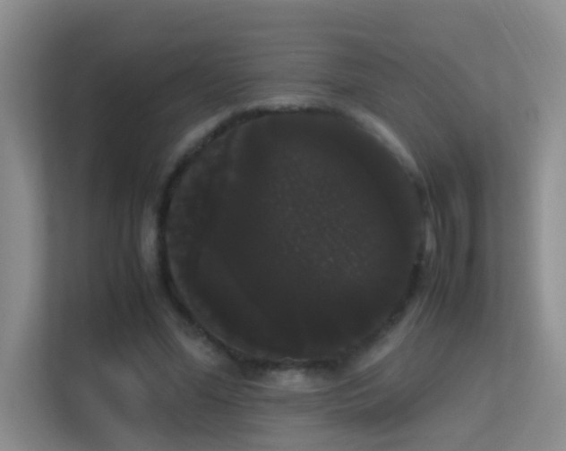 X0000113850588200909241249