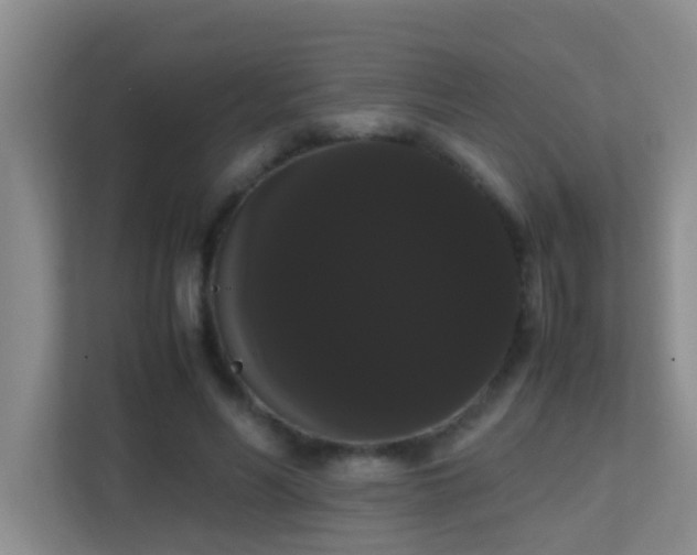 X0000113850590200909241249