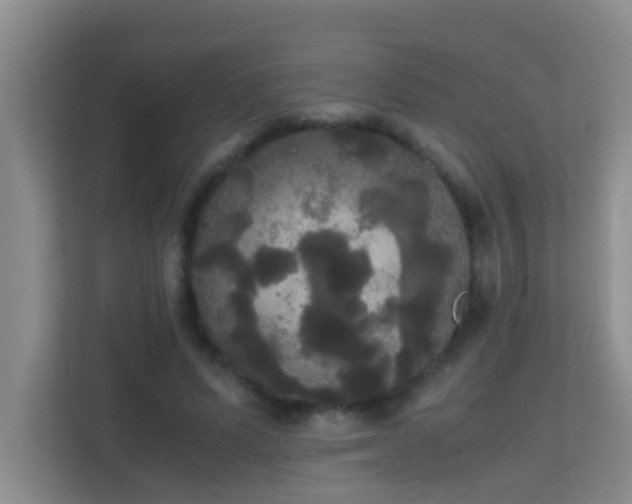 X0000113850591200909241249