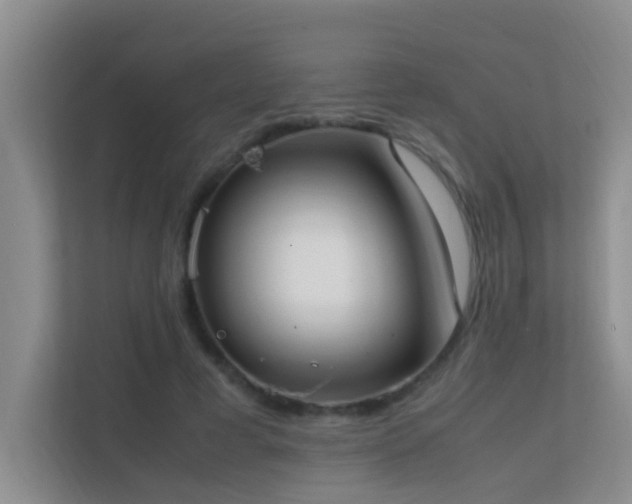 X0000113850593200909241249