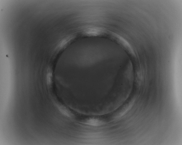 X0000113850596200909241249