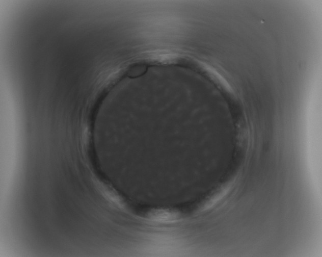 X0000113850597200909241249