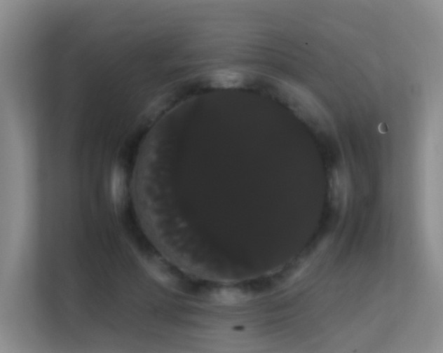 X0000113850598200909241249