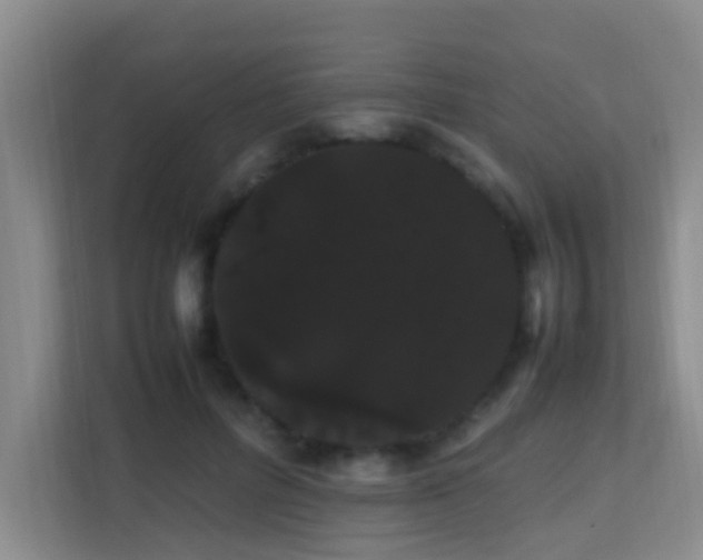 X0000113850600200909241249