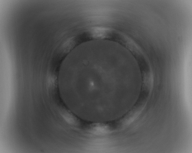 X0000113850601200909241249