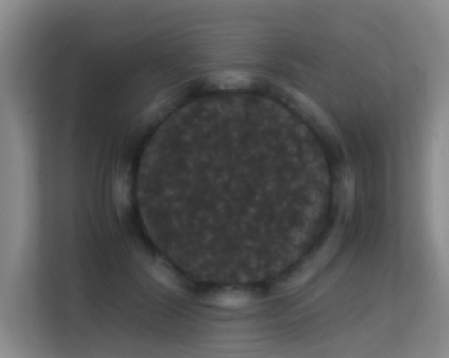 X0000113850604200909241249