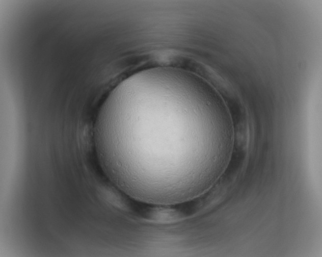 X0000113850605200909241249