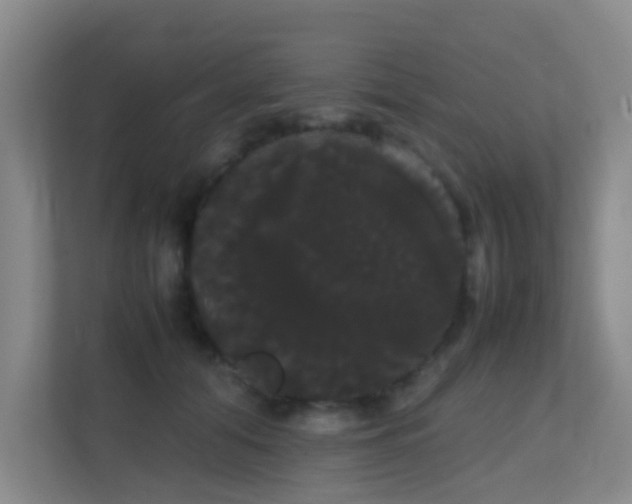 X0000113850608200909241249