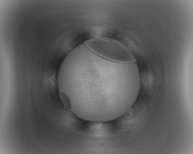 X0000113850611200909241249