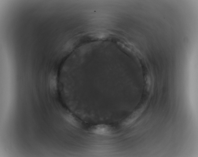 X0000113850612200909241249