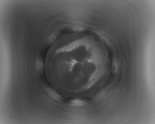 X0000113850614200909241249