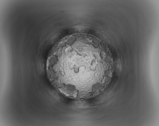 X0000113850615200909241249