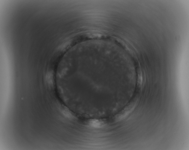 X0000113850616200909241249