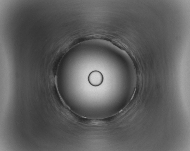 X0000113850617200909241249