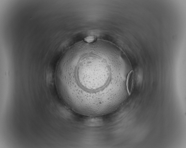 X0000113850619200909241249