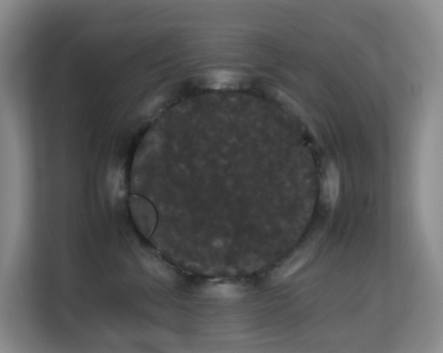 X0000113850620200909241249