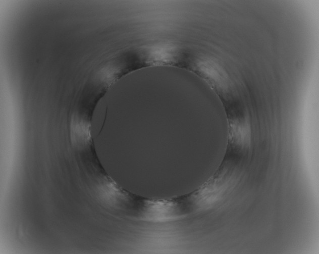 X0000113850621200909241249