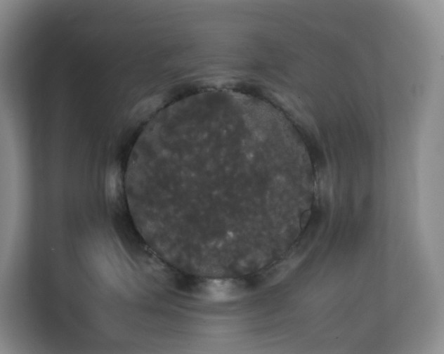 X0000113850623200909241249