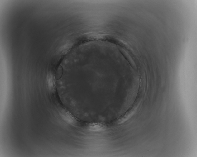 X0000113850624200909241249