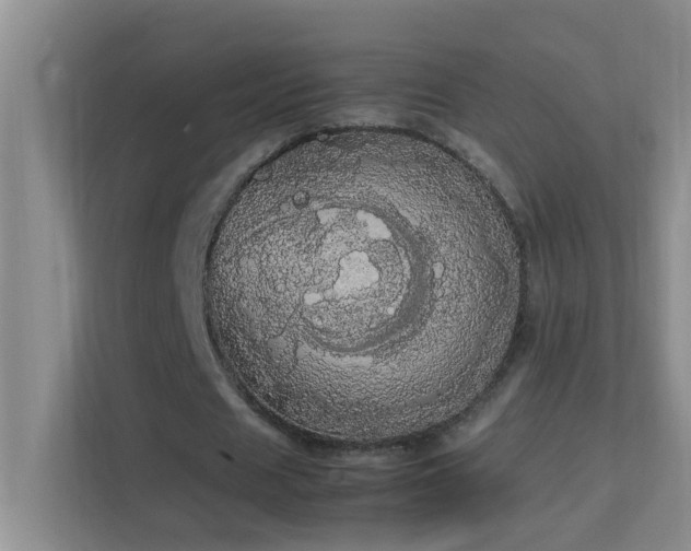 X0000113850625200909241248