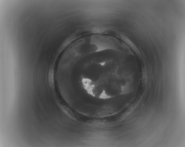 X0000113850626200909241248