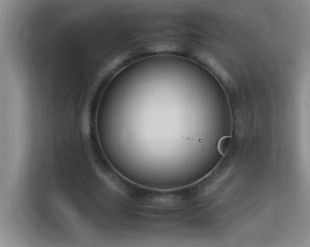 X0000113850631200909241248