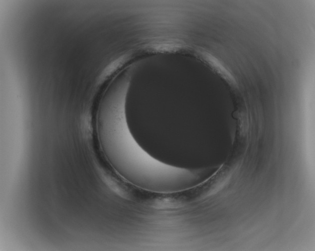 X0000113850634200909241248