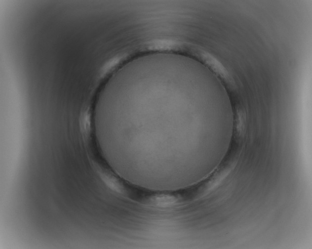 X0000113850636200909241248