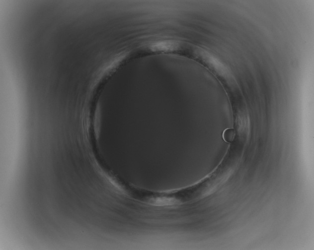 X0000113850637200909241248