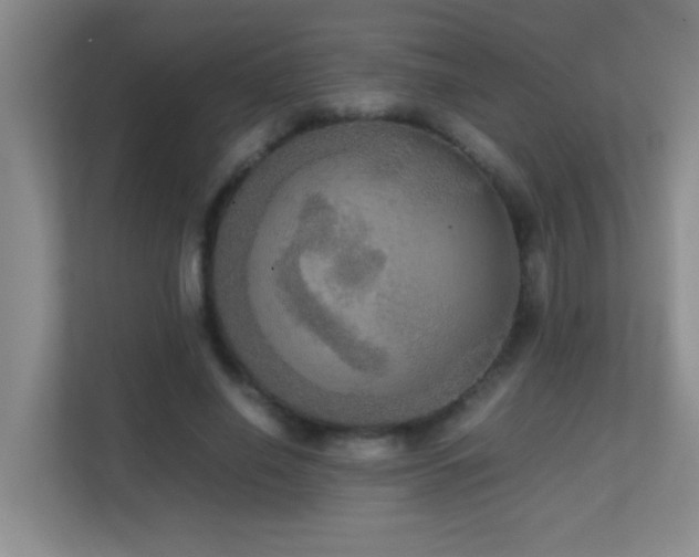 X0000113850638200909241248